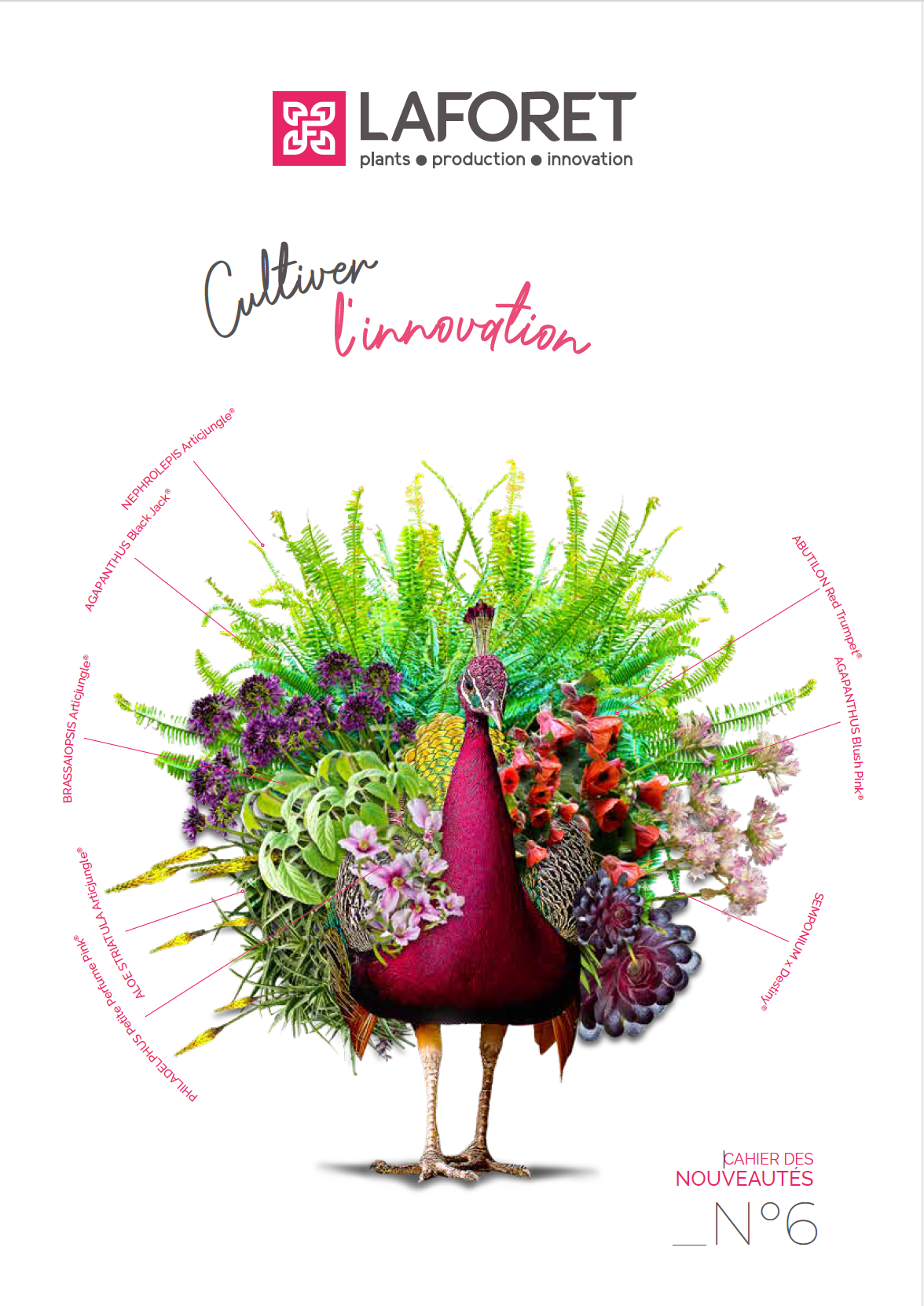 Cahier des Nouveautés n°6