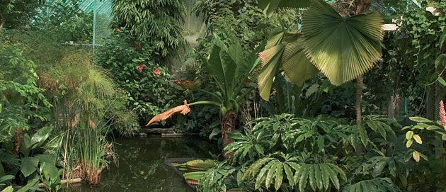 indoor/outdoor garden