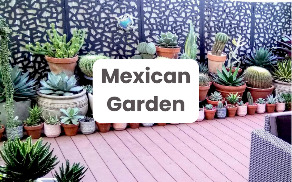 Solution "Mexican Garden" | Pépinières LAFORET