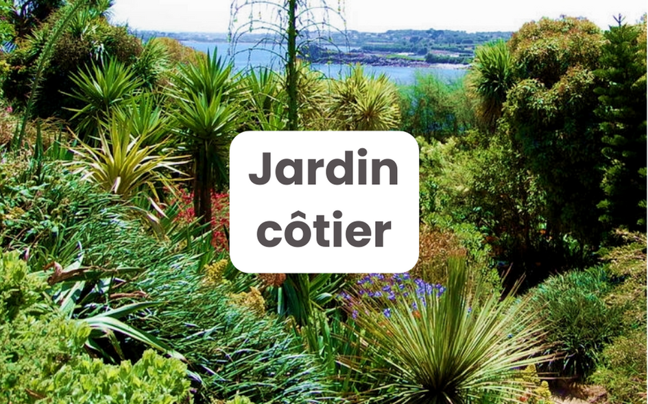 Solution "Jardin Côtier" | Pépinières LAFORET
