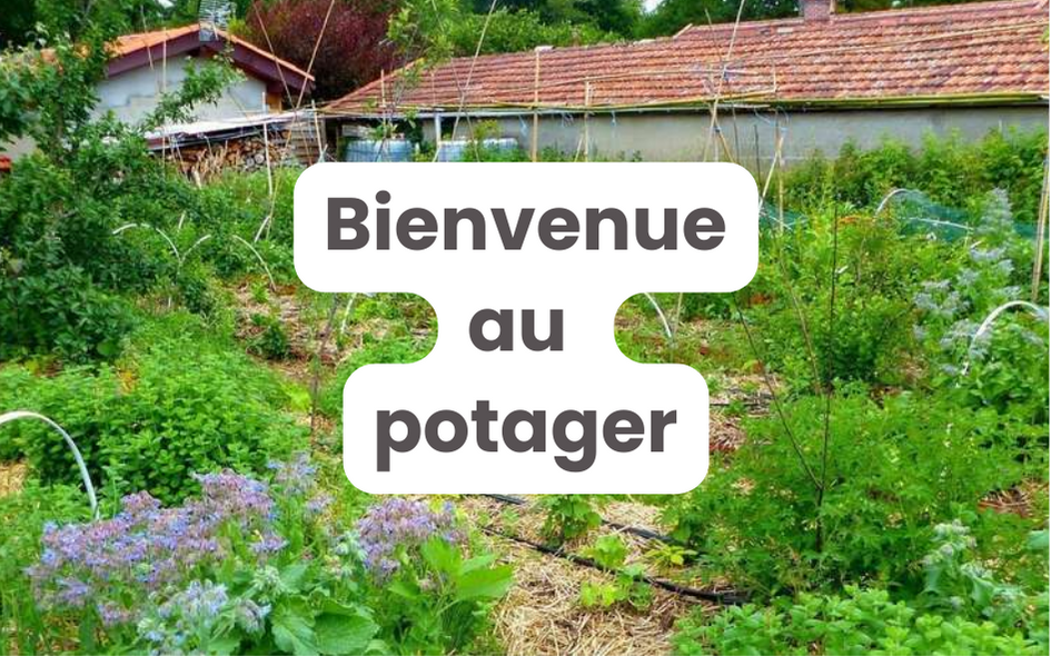 Solution "Bienvenue au potager" | Pépinières LAFORET