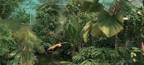 Indoor/Outdoor Garden - Pépinière La Forêt