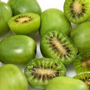 ACTINIDIA arguta Issai - Pépinière La Forêt