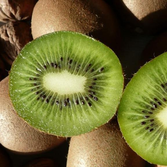 ACTINIDIA deliciosa Boskoop - Pépinière La Forêt